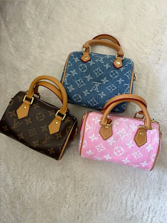LV SPEEDY BAG